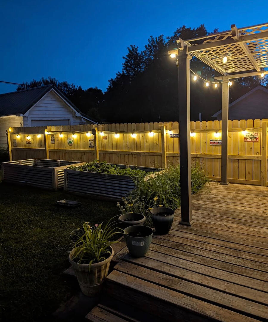 Backyard Renovation